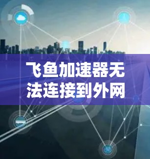 飞鱼加速器无法连接到外网，常见问题及解决方案