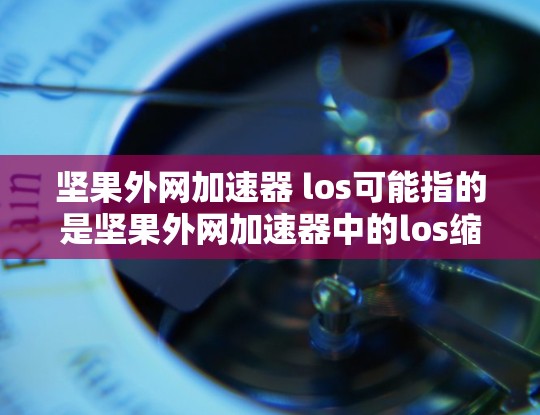 坚果外网加速器 los可能指的是坚果外网加速器中的los缩写，但需要确认其具体含义。以下是对该工具的详细分析