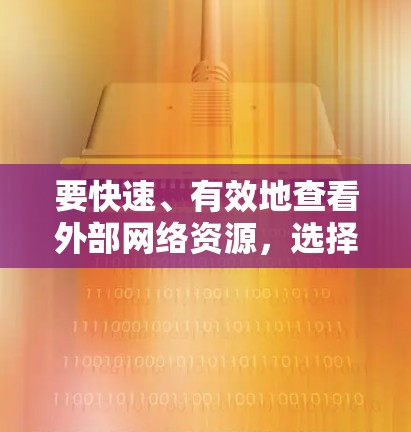 要快速、有效地查看外部网络资源，选择一个可靠的加速器是一个好主意。以下是一些常见的加速器和它们的使用方法