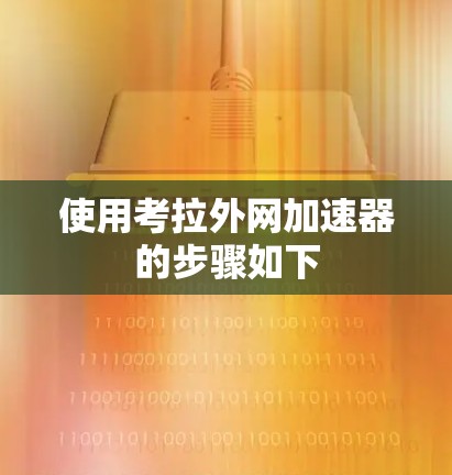 使用考拉外网加速器的步骤如下