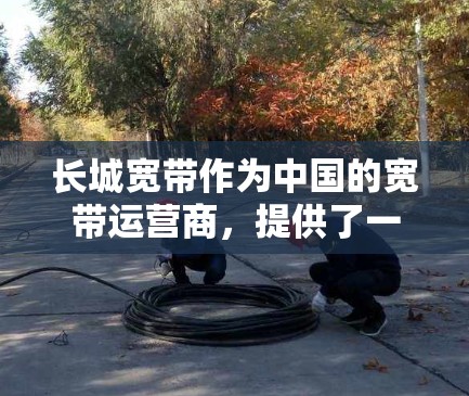 长城宽带作为中国的宽带运营商,提供了一定的网络加速服务,以下是关于长城宽带外网加速器的一些信息