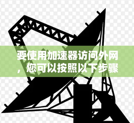 要使用加速器访问外网，您可以按照以下步骤操作
