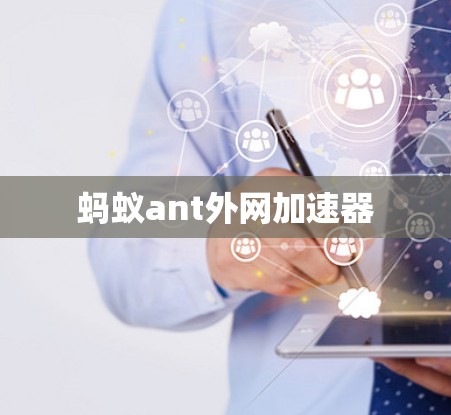蚂蚁ant外网加速器