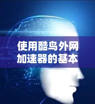 使用酷鸟外网加速器的基本步骤如下