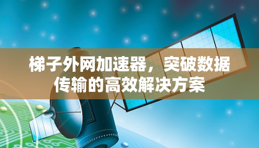 梯子外网加速器,突破数据传输的高效解决方案