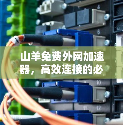 山羊免费外网加速器,高效连接的必备神器
