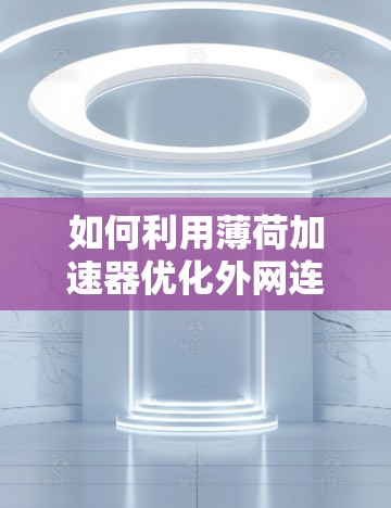 如何利用薄荷加速器优化外网连接?