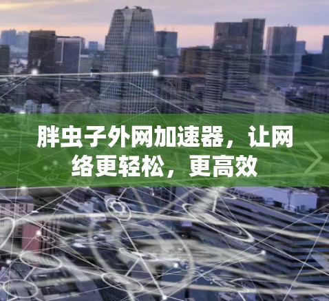 胖虫子外网加速器,让网络更轻松,更高效
