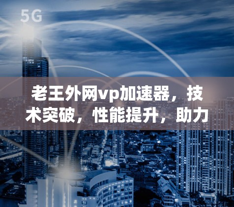 老王外网vp加速器，技术突破，性能提升，助力企业高效运营