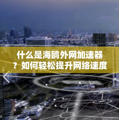 什么是海鸥外网加速器?如何轻松提升网络速度?