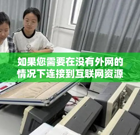 如果您需要在没有外网的情况下连接到互联网资源,可以尝试以下几种方法或工具