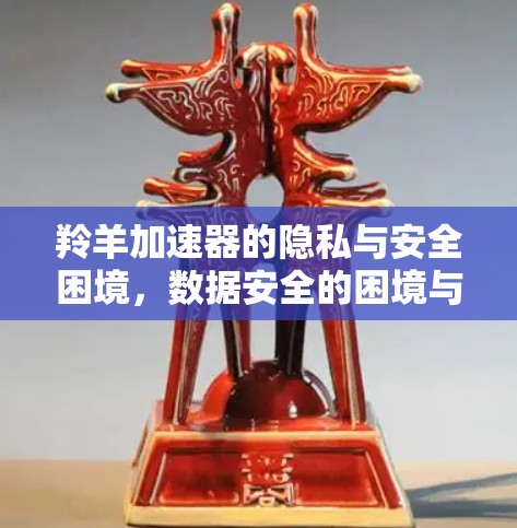 羚羊加速器的隐私与安全困境,数据安全的困境与解决方案 羚羊加速器的隐私与安全困境,数据安全的困境与解决方案