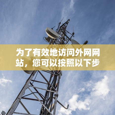 为了有效地访问外网网站，您可以按照以下步骤进行操作