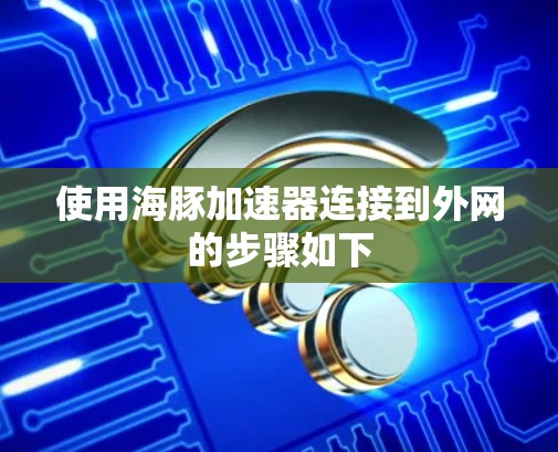 使用海豚加速器连接到外网的步骤如下
