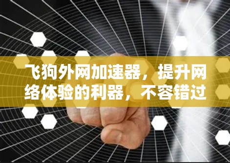 飞狗外网加速器,提升网络体验的利器,不容错过!