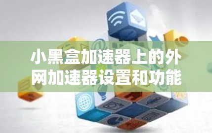小黑盒加速器上的外网加速器设置和功能如下