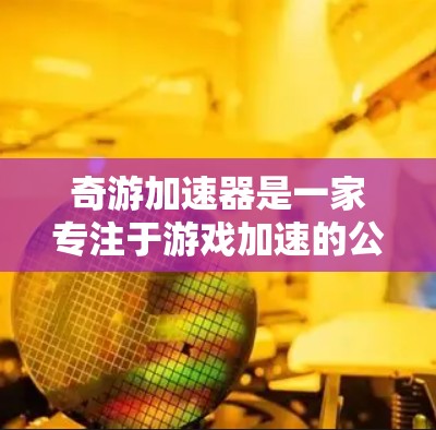 奇游加速器是一家专注于游戏加速的公司，提供多种加速选项，包括本地化加速（Pro和Basic）和异步加速。以下是对奇游加速器的详细介绍