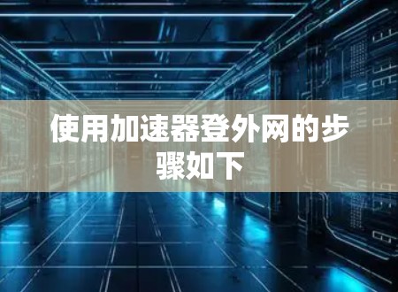 使用加速器登外网的步骤如下
