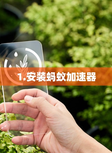 1.安装蚂蚁加速器