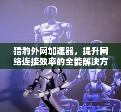 猎豹外网加速器,提升网络连接效率的全能解决方案