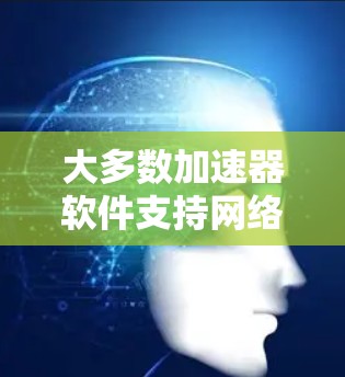 大多数加速器软件支持网络连接,即可以在外网使用,但具体取决于加速器的类型和功能。以下是一些常见的情况