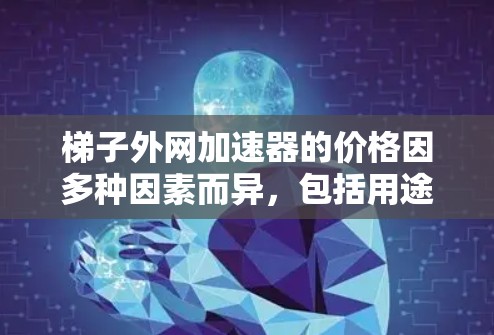梯子外网加速器的价格因多种因素而异,包括用途、制造商、地区、功能需求和售后服务。以下是一些综合考虑的因素和建议