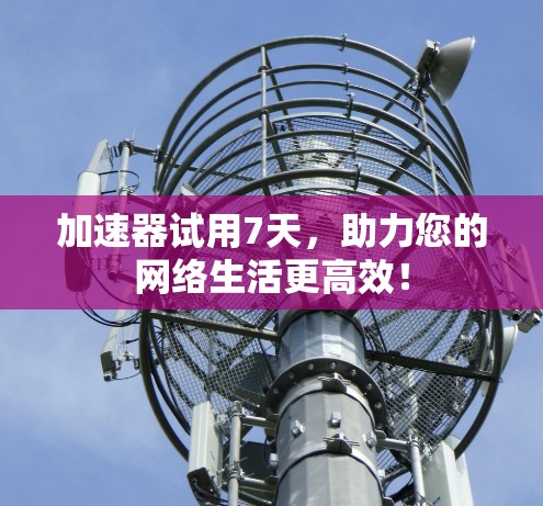 加速器试用7天,助力您的网络生活更高效!