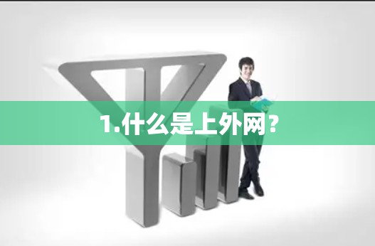 1.什么是上外网?