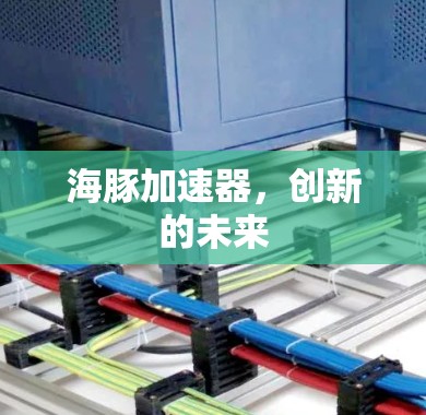 海豚加速器,创新的未来 海豚加速器,创新的未来