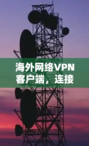 海外网络VPN客户端,连接全球网络,保障网络安全