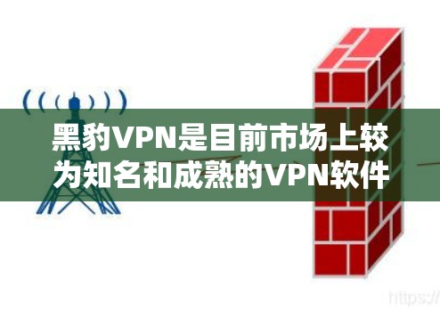 黑豹VPN是目前市场上较为知名和成熟的VPN软件，版本包括Zero、Pro等，其中Black豹Zero是最新的版本。以下是关于下载 Black豹VPN 最新版客户端的步骤和信息