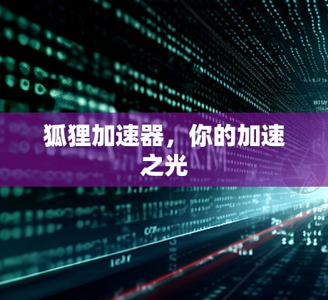 狐狸加速器,你的加速之光 狐狸加速器,你的加速之光