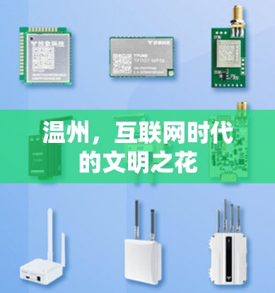温州,互联网时代的文明之花 温州,互联网时代的文明之花