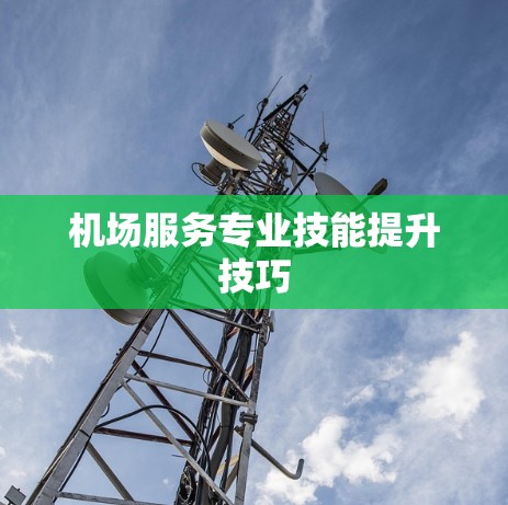 机场服务专业技能提升技巧