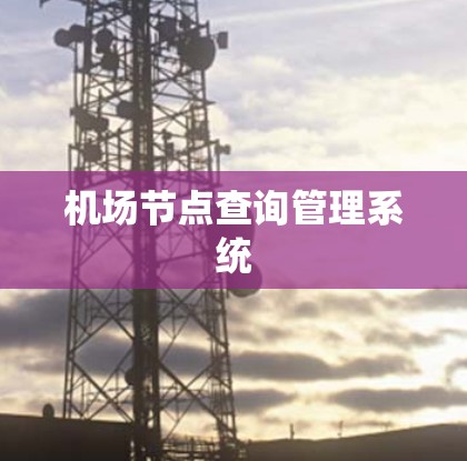 <strong>机场节点</strong>查询管理系统