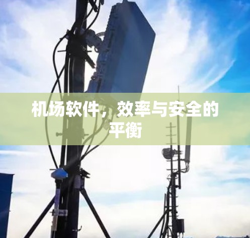 机场软件，效率与安全的平衡
