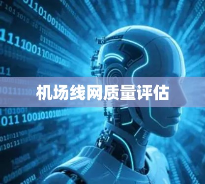 机场线网质量评估