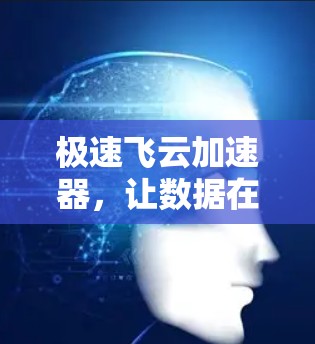 极速飞云加速器，让数据在云端自由流动