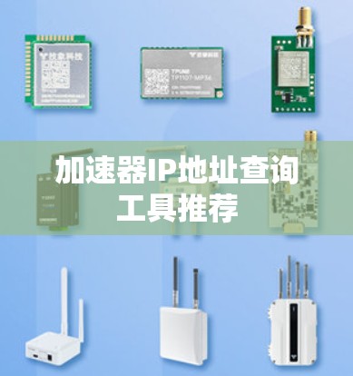加速器IP地址查询工具推荐