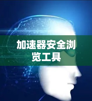 加速器安全浏览工具