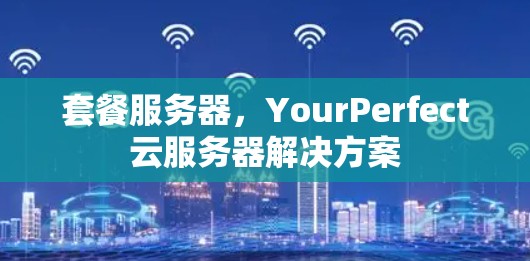 套餐服务器,YourPerfect云服务器解决方案