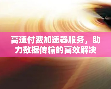 高速付费加速器服务,助力数据传输的高效解决方案