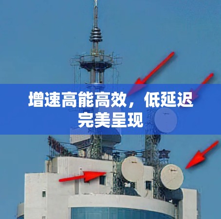 增速高能高效,低延迟完美呈现