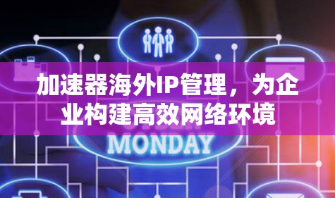 加速器海外IP管理,为企业构建高效网络环境