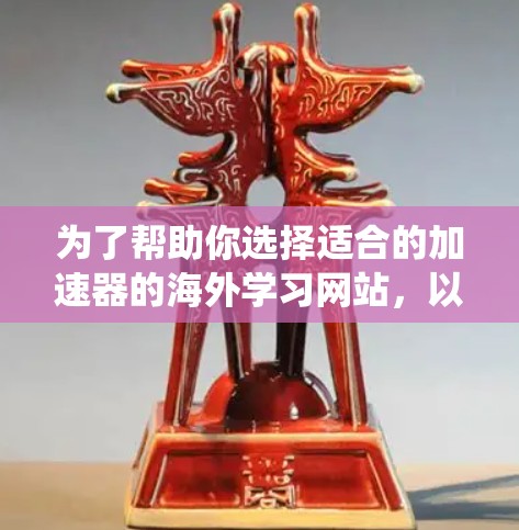 为了帮助你选择适合的加速器的海外学习网站,以下是一个系统化的推荐过程