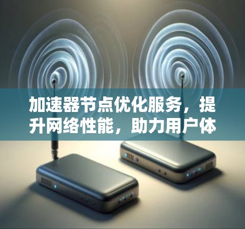 加速器节点优化服务，提升网络性能，助力用户体验