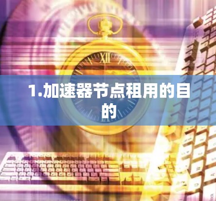 1.加速器节点租用的目的